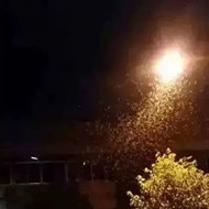 白蟻危害大，4-6月份進(jìn)入其活躍期 防治白蟻不容忽視！